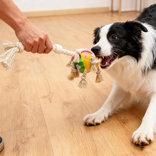 Indestructible Bear Dog Rope Toy with Rope for Aggressive Chewers, Tug of War Dog Toy Durable Chew-Resistant Interactive Ball for All Breeds (Tug Ball)