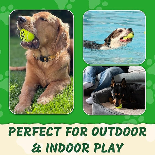 Squeaky Tennis Balls for Dogs Pack of 4 Easy Catching Dog Fetch Balls (Squeaky-Yellow)
