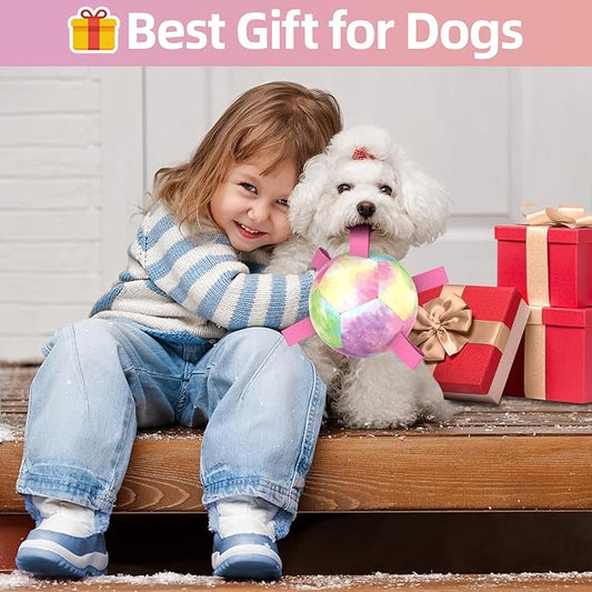 QDAN Dog Toys Soccer Ball with Straps, Durable Dog Balls for Tug of War, Puppy Birthday Gifts, Dogs Water Toy Small Dogs-Rainbow(5 Inch)