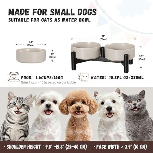 Raised Ceramic Dog Bowl Set - Elevated Double Dishes with Stainless Steel Stand - Food and Water Bowls for Small Dogs and Indoor Cats - Each Holds 1.6 Cups (10.8 fl oz) - Grey