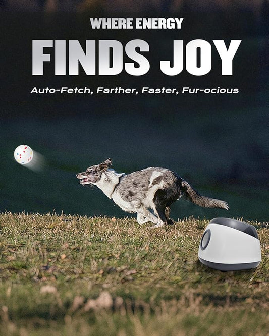 Automatic Dog Ball Launcher for Large Dogs, Machine Ball Thrower for Dogs, with 6 Pack 2.5" Balls (Grey), Interactive for Boredom, Mental Stimulation Toys