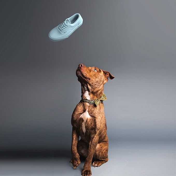 Sneaker Dog Toy for Aggressive Chewers – Heavy-Duty Natural Rubber Shoe Toy for Medium & Large Dogs