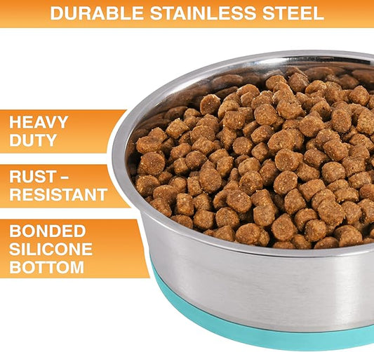 Neater Pet Brands Stainless Steel Dog Bowls with Non-Slip Rubber Bottom – 2 Cup (16 oz), Teal - Set of 2 Heavy Duty Metal Dog Bowls, Dishwasher Safe, Food or Water Bowl, Ideal for Small Dogs & Cats