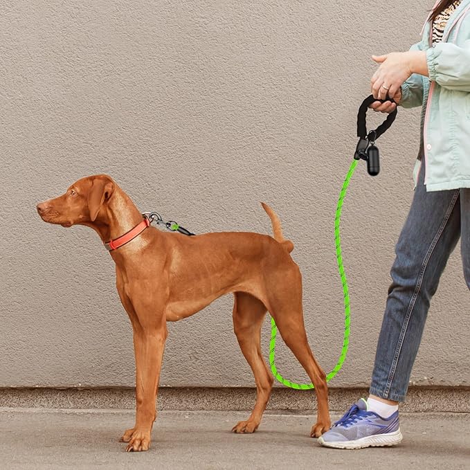 Heavy Duty Dog Leash for Large Medium Small Breed Dogs, Reflective Rope Dog leashes with Comfortable Handle,4/5/6 FT Pet Puppy Leash for Night Walking with Poop Bag Holder,Green,1/2 inch