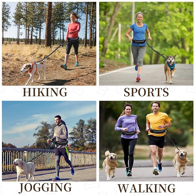 Hands Free Dog Leash with Waist Bag for Large Dog Walking, Shock Absorbing Bungee Leash with Zipper Pouch for Running, Dual Padded Handles & Adjustable Waist Belt