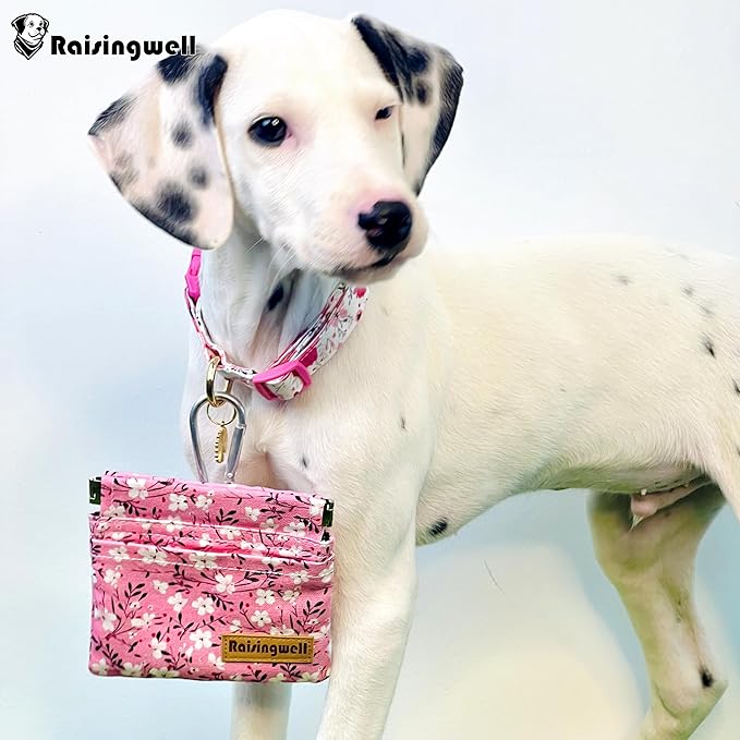 Raisingwell Dog Treat Pouch, Small Cotton Pocket Sized Training Holder, Hand Free Walking Fanny Bag with Carabiner, Self-Closing Pet Feed Snack Reward, Behavior Aids for Puppy Travel or Outdoor Use