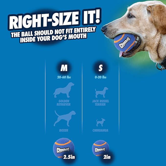 Chuckit! Squeaker Tennis Ball Dog Toy, Large (3 Inch Diameter) Pack of 2, for Breeds 60-100 lbs