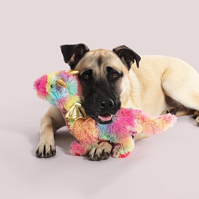 Fringe Studio Plush Dog Toy, Rainbow Dragon, PetShop Collection (289365)