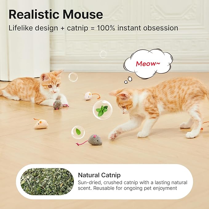Potaroma Cat Toys Pack for Indoor Cats, 28PCS Interactive Kitten Accessories with Feather Balls, Catnip Mice, Colorful Springs – Starter Kitten Toy Stuff Set, Bored Kitty Must-Have Supplies