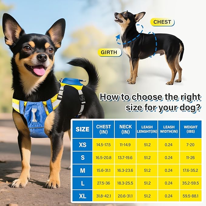 No Pull Dog Harness, 2 in 1 Retractable Harness with Auto-Lock, Reflective Breathable Mesh and Handle, Adjustable Leash Set for Small, Medium,Large Dogs,Cats (Color 2, XS)