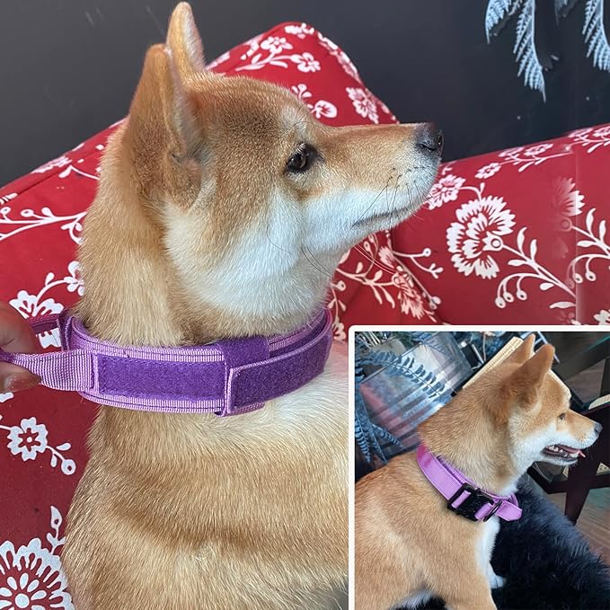 Xqpetlihai Tactical Dog Collar Adjustable Military Nylon Dog Collar with Control Handle and Heavy Duty Metal Buckle for Medium and Large Dogs (Purple,XXL)