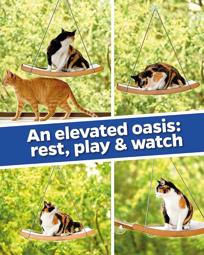 Cat Window Hammock for Large Cats – Strong Suction Cup Cat Window Perch Bed, Durable Eco, Washable Cover, Space Saving Window Seat for Indoor Cats (XL)