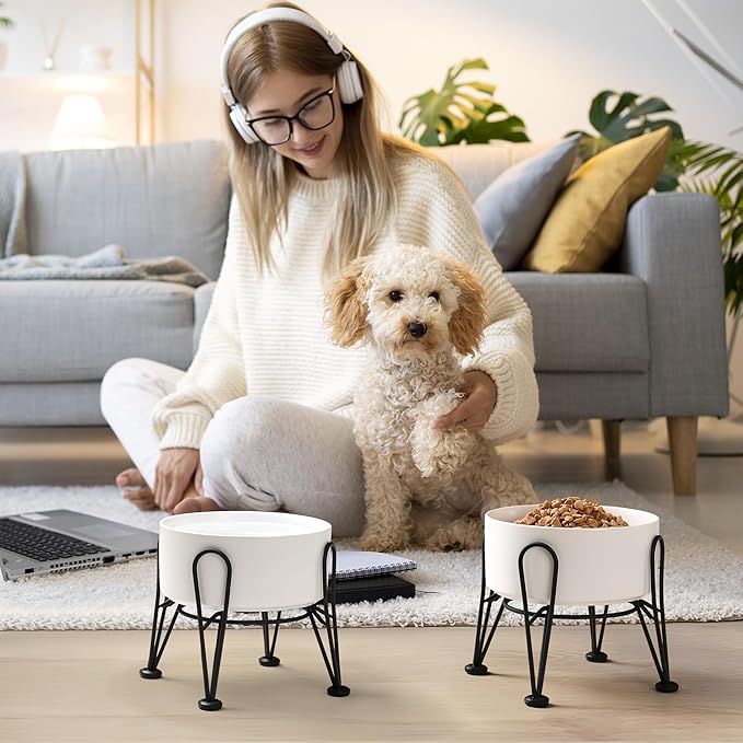 Elevated Dog Bowls, Ceramic Raised Dog Bowl Set with Anti-Slip and Non-Tip Metal Stand, 2 Pack Pet Food and Water Feeding Bowls for Small and Medium Dogs (White,3.6 Cups)