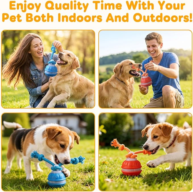2pcs P06 Interactive Dog Toy,Interactive Dog Toys,360° Smart Automatic Rolling Moving,Electric Automatic Moving and Rolling Dog Toy with Rope for Small Medium Dogs for Bored Pet Cats Dogs(Blue+Orange)
