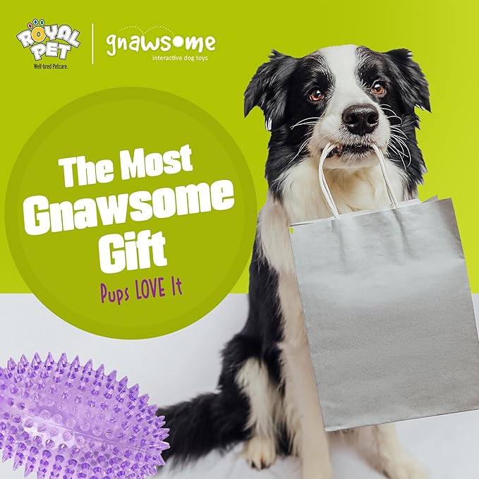Gnawsome™ 4.5” Spiky Squeaker Football Dog Toy - Large, Cleans Teeth and Promotes Good Dental and Gum Health for Your Pet, Colors Will Vary,All Breed Sizes