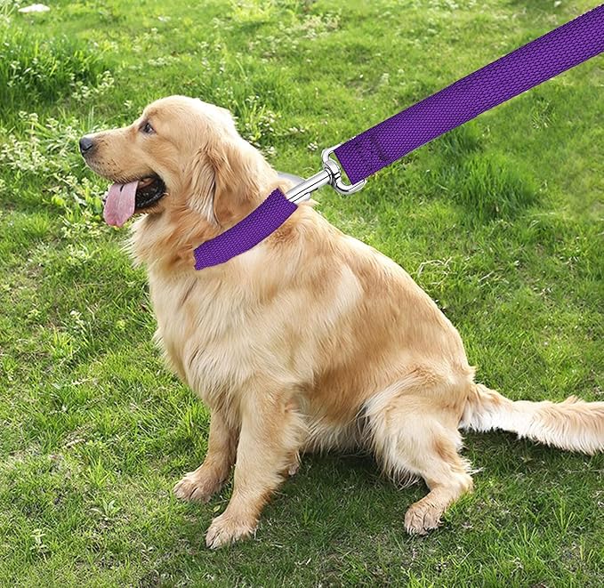 TAIAN 4FT/5FT/6FT Strong Dog Leash, Nylon Dog Leashes for Small Medium Large Dogs (5/8 in x 5 ft, Purple)