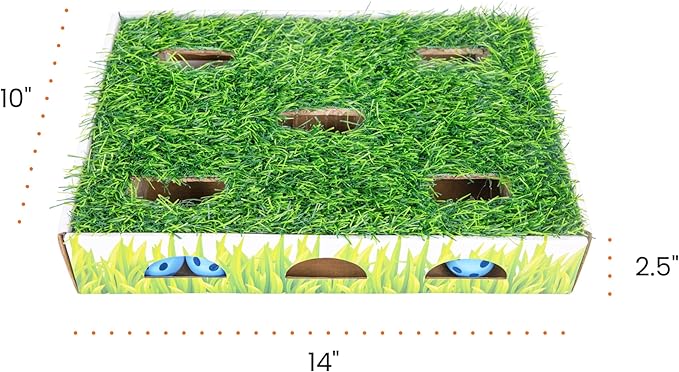 Catstages Grass Patch Hunting Box - Interactive Indoor Cat Toy with Faux Grass & 3 Jingle Balls - Encourages Exercise, Mental Stimulation & Natural Hunting Instincts