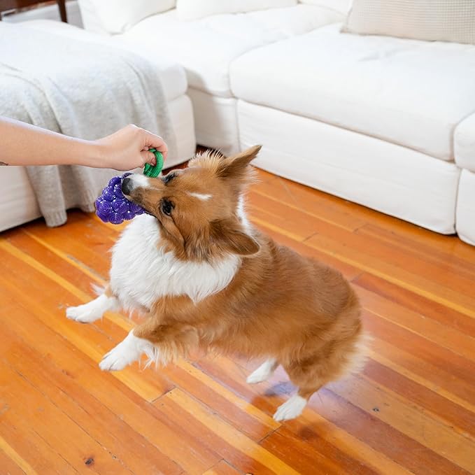 Outward Hound Dental Grapes Dog Toy & Treat Stuffer, 6″ x 3″ Grape-Scent Interactive Chew for Dogs, Helps Clean Teeth, Promote Healthy Gums & Mental Enrichment, Reduce Boredom & Support Dental Health