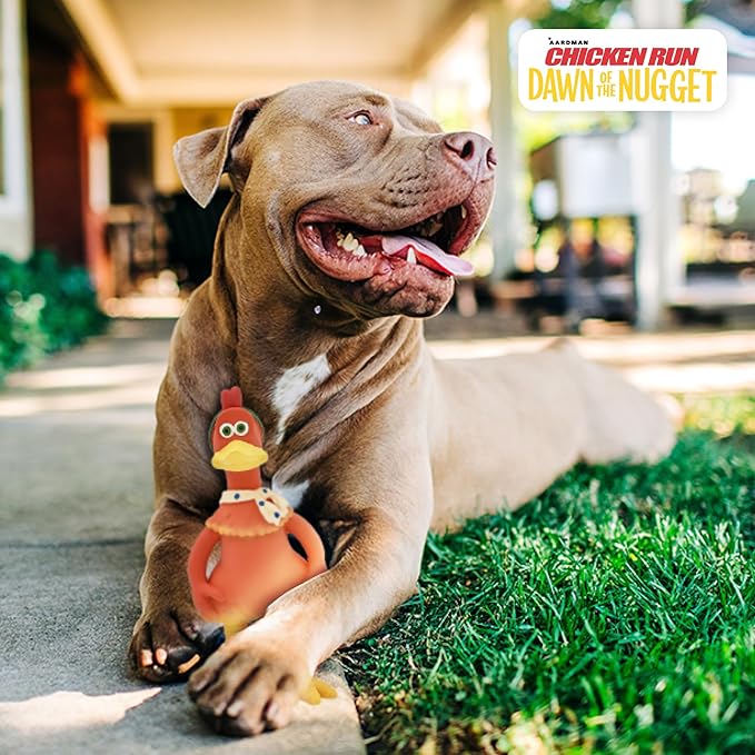 Multipet Chicken Run Ginger Latex Dog Toy - Durable Squeaky Toy for All Dogs - Easy-to-Clean Latex Squeaky Toys - for Cuddling, Chewing & Playing (9.5")