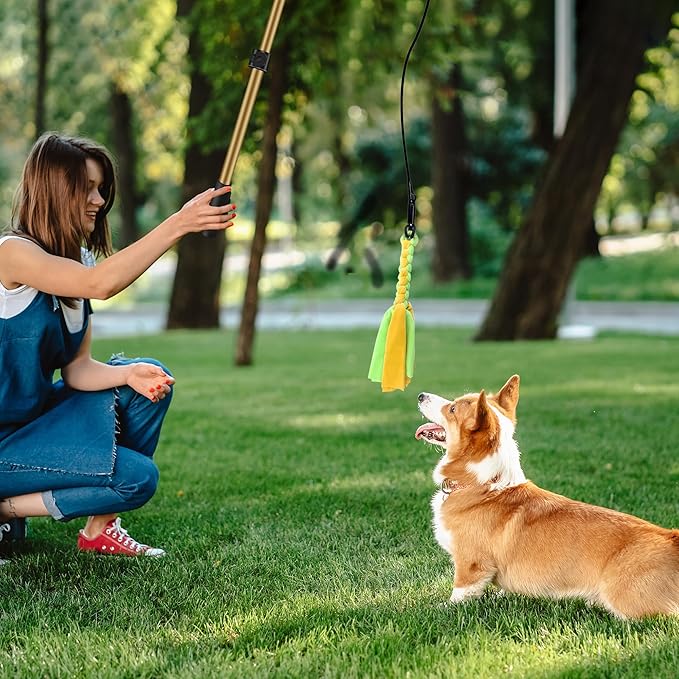 Flirt Pole for Dogs, Interactive Dog Toys Extendable Teaser Wand with Lure Chewing Toys, Chase and Tug of War for Small Medium Large Dogs Training Playing Exercise