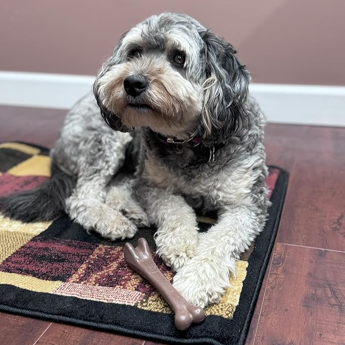 SPOT Bam-Bones Bone - Made with Strong Bamboo Fiber, Durable Long Lasting Dog Chew for Light to Moderate Chewers, Great Toy for Adult Dogs & Teething Puppies under 40lbs, 7.25in, Bacon Flavor