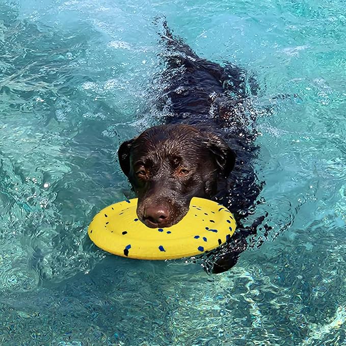 BABORUI Floating Dog Pool Toy – Durable E-TPU Dog Water Toy for Fetch & Chew, Bright Floating Dogs Toys for Pool, Beach & Outdoor Play – Dogs Beach Essentials (Blue Ring & Yellow Plate)