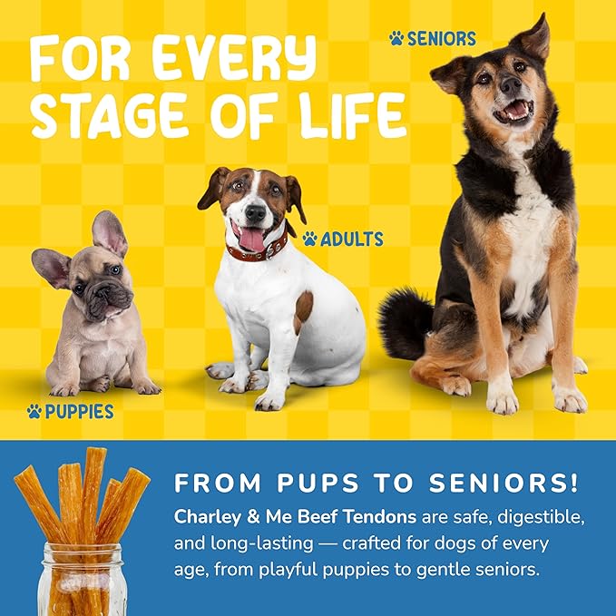 CHARLEY & ME Beef Tendons for Dogs, 100% Natural Beef Puppy Treats, Long-Lasting Dog Chew Toy for Aggressive Chewers - Nutritious Joint Support for Dogs - 6 Inches (Pack of 10)