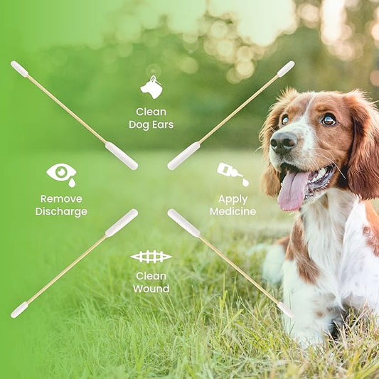We Love Doodles Long Cotton Dog Ear Swabs | Double Sided Cotton Swabs for Dogs | Large Wooden Cleaner Balls Tool | Swabs to Flush Puppy Ears | Clean Wood Buds for Pet Ears | Wipes Solution Swabs