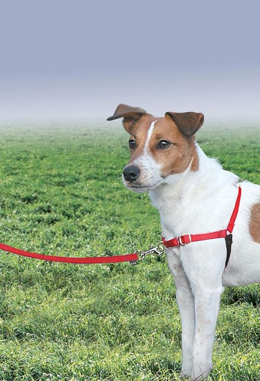 PetSafe Easy Walk No-Pull Dog Harness - The Ultimate Harness to Help Stop Pulling - Take Control & Teach Better Leash Manners - Helps Prevent Pets Pulling on Walks, Small/Medium, Red/Black