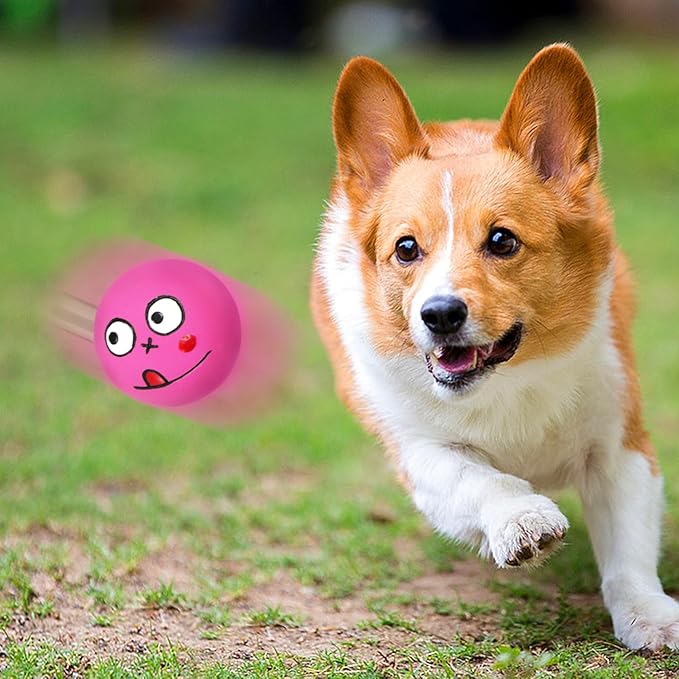 Squeaky Dog Toys, 2 inch Latex Squeaky Dog Balls Chew Toys for Puppies, Small and Medium Breeds 6 Pcs