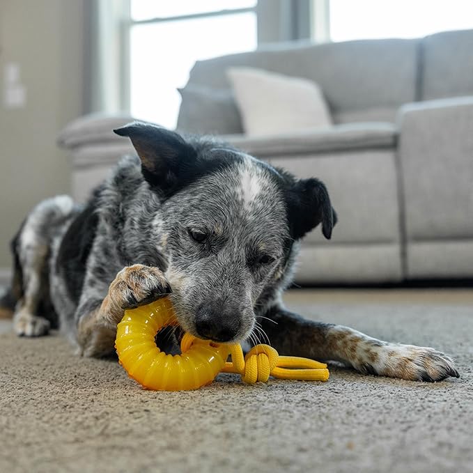 Outward Hound Gummiez Peach Ring 2-in-1 Dental Dog Chew Toy and Treat Stuffer Game, Peach Scent