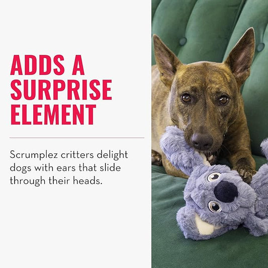 KONG Scrumplez Dog Toy - Soft Plush Squeaker Toy for Interactive Play, Stuffed with Extra-Squeaky Fun, Durable and Engaging for Dogs (Gray Koala)