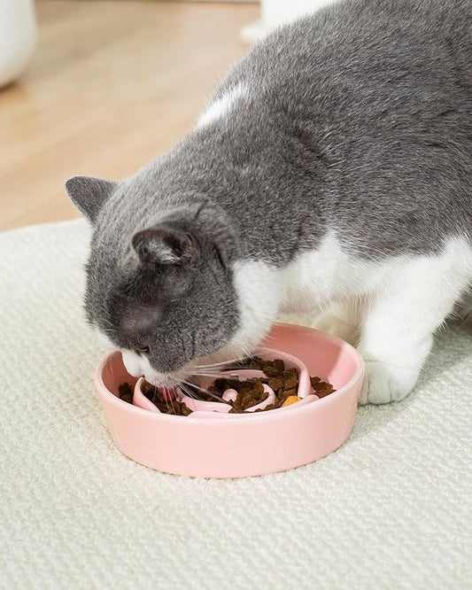 TRUVIC Ceramic Slow Feeder Dog Bowls Small Breed, 0.6 Cup Slow Feeder Cat Bowls for Fast Eaters, Ceramic Dog Food Dish no Black Chin, Puzzle Bowl for Small Dogs and Cats, Pink