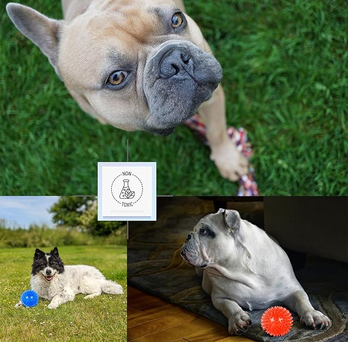 Small Dog Toy Balls, 12 Pcs Rubber Puppy Toy Balls for Ball Launcher, Dog Fetch Balls for Small Breeds 0-15 Lbs