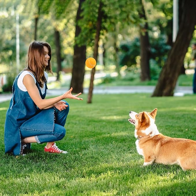 Prime Pets Dog Tennis Balls 3 Pack, 2.5” Durable High-Bounce Tennis Balls for Dogs, Squeaky Dog Ball for Fetch & Training, Outdoor Interactive Dog Toy Ball for Small and Medium Dogs