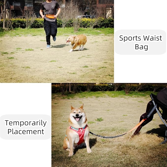 FJ Four Joys Hands Free Dog Leash with Zipper Pouch, Waist Leash for Dog Walking with Shock Absorbing Bungee for Walking, Jogging and Running (Orange)