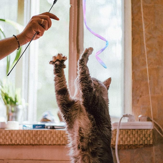 Sumind 3 Pieces Jungle Cat Wand Cat Teaser Charmer Interactive Fun Toys Wand Kitten Kitty Playing Toy, 3 Styles(Charming Color)