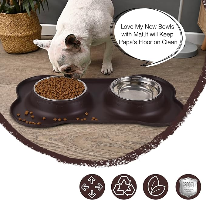 Dog Bowls 2 Stainless Steel Bowl for Pet Water and Food Feeder with Non Spill Skid Resistant Silicone Mat for Pets Puppy Small Medium Cats Dogs