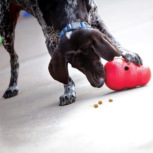 KONG Wobbler - Interactive Dog Toy for Treat Dispensing - Dog Slow Feeder for Healthy Eating - for Medium/Small Dogs