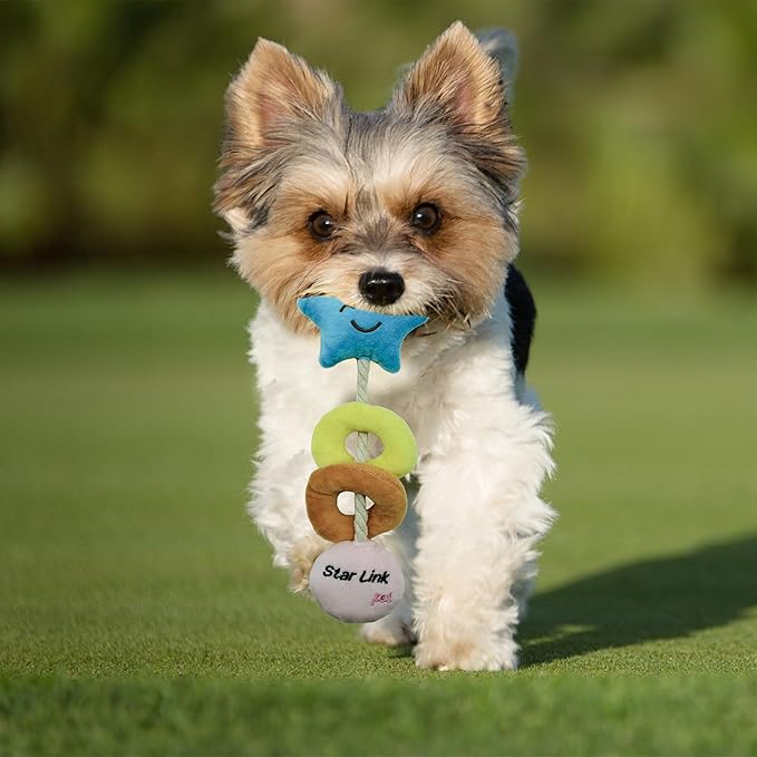 1PC Squeaky Dog Toys to Keep Them Busy Squeaky Dog Toys with Soft Fabric, for Small, Medium, and Large Dogs for Daily Interaction, Companion Training (Star)