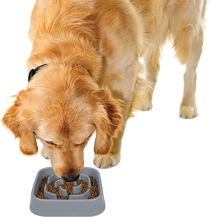 Dexas Seek and Snack Slow Feeder Maze with Non Slip Feet, 4 Cup Capacity, Gray, (PW304429)