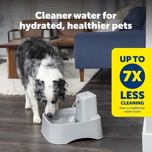 PetSafe Drinkwell Pet Fountain,Dog Water Bowl Dispenser for Cat and Dogs, Plastic, Adjustable Flow Control, Easy to Clean Design,Grey, 2 Gallon/256 oz