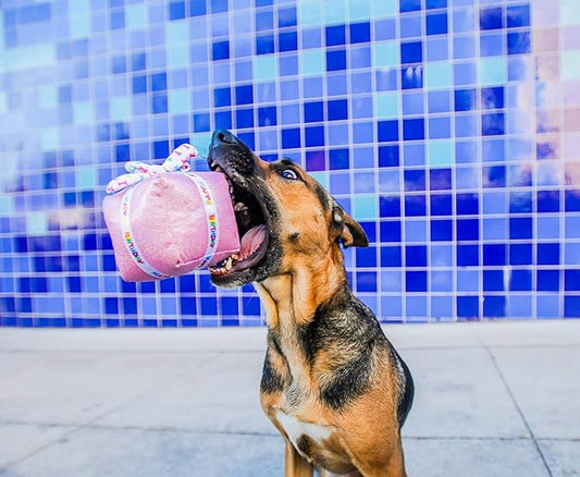 Multipet Birthday Cake Slice Dog Toy - Birthday Toy w/Squeaker & Crinkles - Polyester Plush Toys for Chewing & Playing - Perfect Dog Gifts for All Dogs (5.5”, Pink)