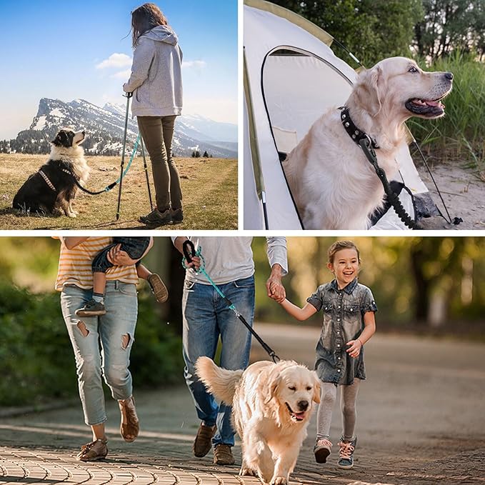 jenico Long Dog Leash 20FT: 3/8'' Heavy Duty Rope Leashes for Dogs Training with Lockable Hook Reflective Threads Bungee and Padded Handle - Dog Lead for Large Small Medium Dogs Outside Walking