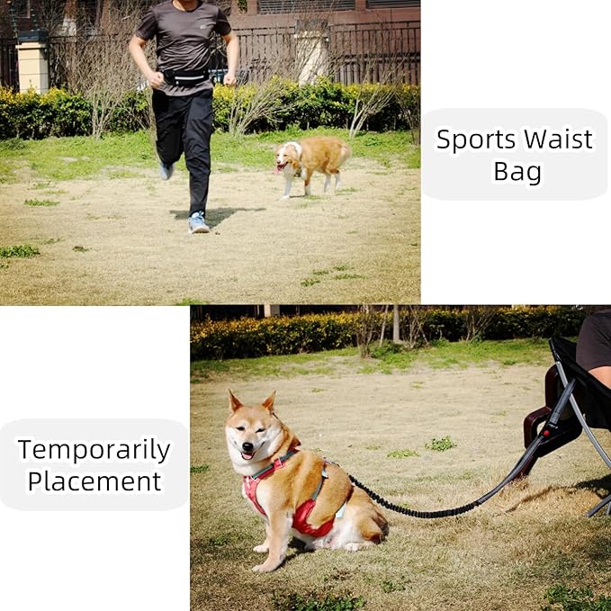 FJ Four Joys Hands Free Dog Leash with Zipper Pouch, Waist Leash for Dog Walking with Shock Absorbing Bungee for Walking, Jogging and Running (Black)