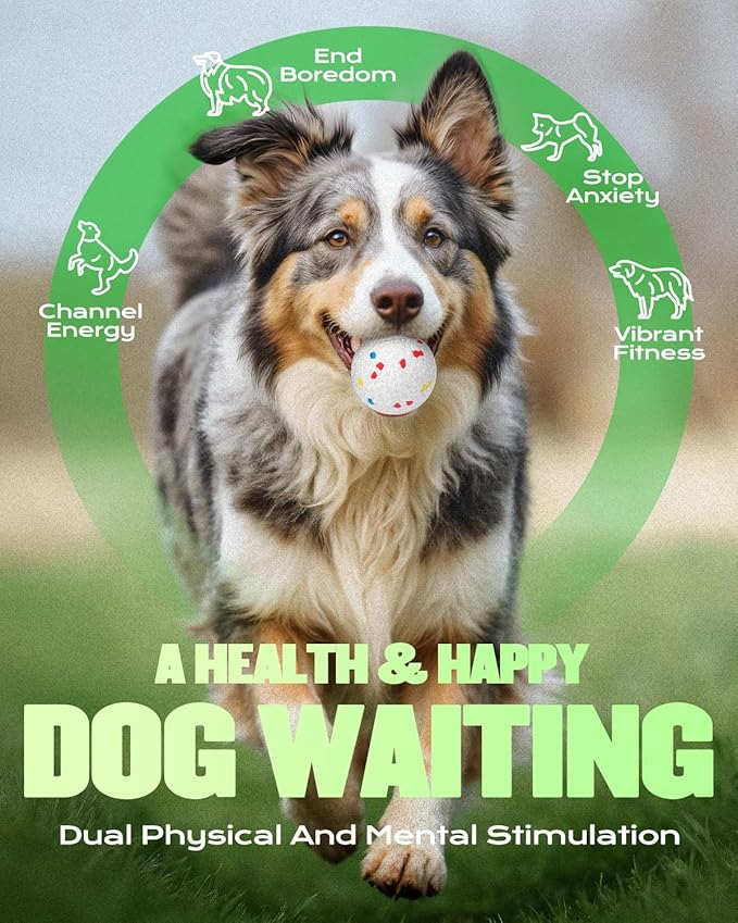 2.3" Balls for Automatic Dog Ball Launcher Interactive Ball Thrower (White-6 Balls)