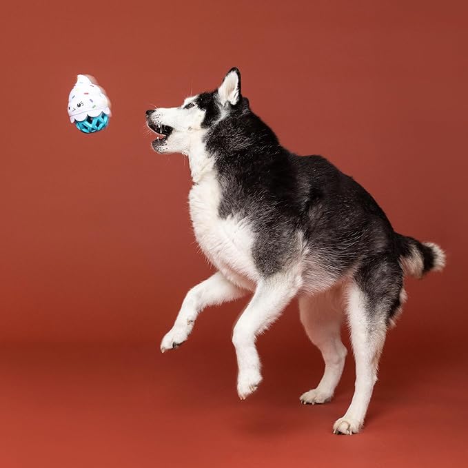 Fringe Studio Rubber Dog Toy, HERE for The Cupcakes, Pet Shop Collection (519079)