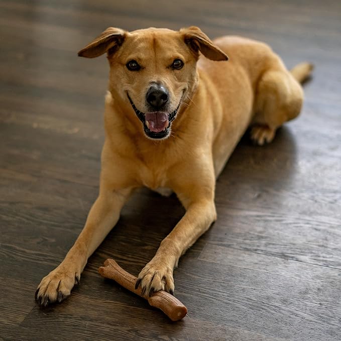 Outward Hound by Petstages Super Dogwood Durable Dog Chew Toy, Small - Long Lasting Chew Sticks Made of Natural Wood - USA Made