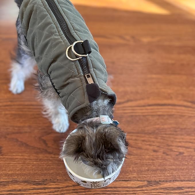 SPOT I Love Dogs Dish -Round Ceramic Food/Water Bowl with High Walls for Pets, Dishwasher Safe, Ideal for Small Dogs, Cats, Reptiles, Large Birds, 5in, 1.75 Cup (14oz)