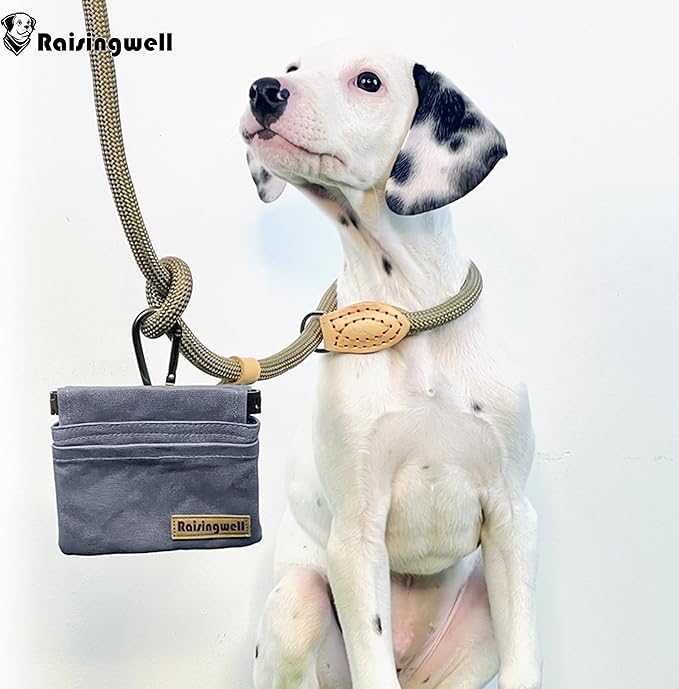 Raisingwell Dog Treat Pouch, Small Cotton Pocket Sized Training Holder, Hand Free Walking Fanny Bag with Carabiner, Self-Closing Pet Feed Snack Reward, Behavior Aids for Puppy Travel or Outdoor (Grey)